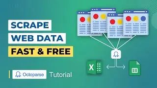 Scrape Any Website in Minutes - Web Scraping Without Coding! | Octoparse Tutorial