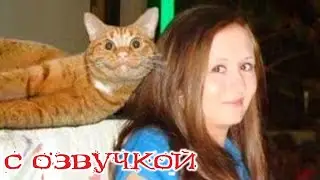 Приколы с котами! САМАЯ СМЕШНАЯ озвучка животных! Смешные коты и собаки!