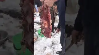 23 февраля 2021 г.