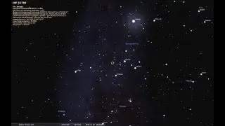 VY Большого Пса. Где же на звёздном небе она находится?