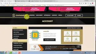 SCAM !! Swingbtc (PTC) - доходность букса в bitcoin и долларах