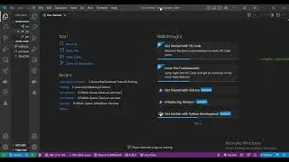 How to open multiple instances of Visual Studio Code for same github project