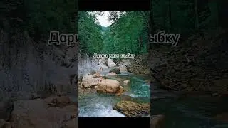 Мой девиз по жизни 🤞👉А каков ваш девиз?