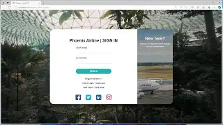 ✈️ Phoenix airline system how to install