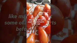 How to prepare tomatoes for freezing