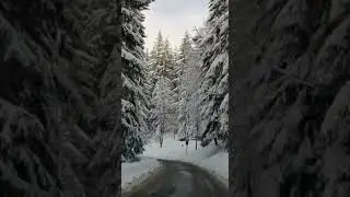 Păltiniș, Sibiu, peisaj superb de iarnă, ianuarie 2019