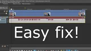 How make mono audio to stereo in Sony Vegas