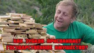 Как Зубков легализует государственное имущество?