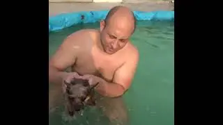 Лера учит ПЛАВАТЬ МОЛЛИ в БАССЕЙНЕ / how to teach a dog to swim 