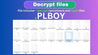 The Ultimate Guide to Decrypting Ransomware and Data -  .PLBOY-  #decrypt #recovery
