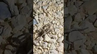 😨😱