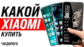 Какой Xiaomi Купить Осенью 2024 года? Недорого и качественно.