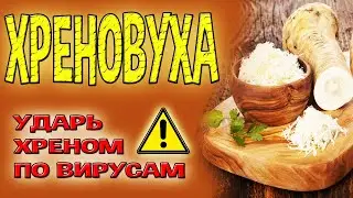 Хреновуха на самогоне. Рецепт домашней хреновухи. Лучшая противовирусная настойка на хрене