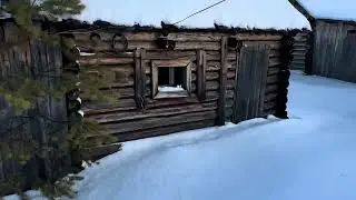 Ловушка для медведя