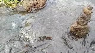 Relaxing music and water sounds for peaceful - Blur Screen