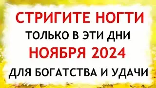 Лунный календарь стрижки ногтей на НОЯБРЬ 2024. Благоприятные и неблагоприятные дни.