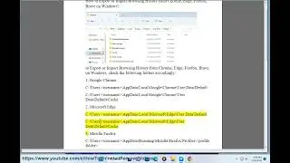 Export or Import Browsing History from Chrome/Microsoft Edge/Firefox/Brave on Windows (2023)