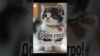 доброе утро всем