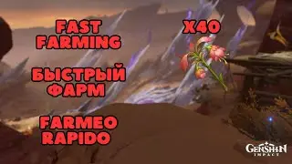 x40 Цветы Скорби - очень быстрый фарм | Геншин Гайды | Genshin Impact