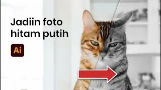 Mengubah foto ke hitam putih di Adobe Illustrator