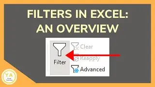 Filter in Excel: An Overview