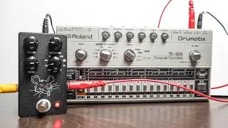 Finding hidden sounds with distortion!