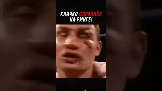 В Этот День Кличко Как с Цепи Сорвался!