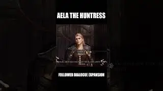 SKYRIM SHORTS I Follower Dialogue Expansion - Aela the Huntress