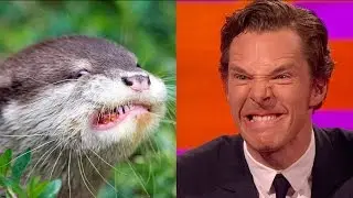 Benedict Cumberbatch’s resemblance to an otter – The Graham Norton Show: Series 18 Episode 9 – BBC