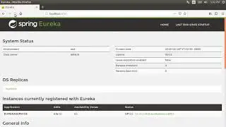 Spring Cloud Discovery: Sending Health Info to Eureka Server