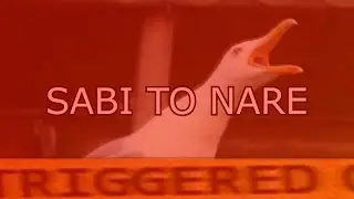 Every time you meet Nobushi, The Samurai and Ronins in The Inazuma..........