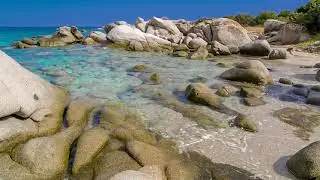 Sonidos Relajantes del océano | Olas suaves en una pequeña playa de White Rock