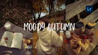 Moody Autumn Lightroom Mobile Presets Free Download DNG