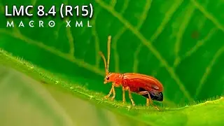 LMC 8.4 (R15) || Macro Special Configs || Super Macro & Preset Macro ....