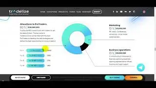 Обзор проекта Tradelize: ICO и продажа токенов