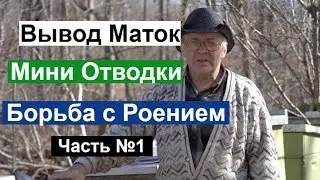 Пасека 