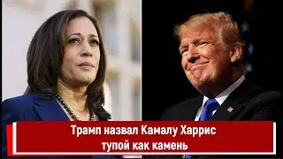 Трамп назвал Камалу Харрис тупой как камень