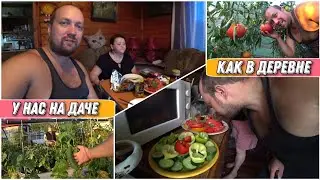 ВЛОГ! Вечером на даче очень круто 🔥/Особенно после трудовой недели за накрытым столом/👍Простая жизнь