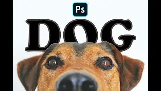 Photoshop Trick [ Photoshop Tutorial ] #photo #subscribe