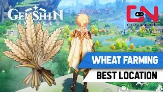 Genshin Impact Best Wheat Farming Spot Springvale - Wheat Location