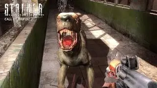 Searching for docs about Pripyat passage  - 18 - S.T.A.L.K.E.R.: Call of Pripyat