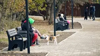 Пруд в Дедовске изменился до неузнаваемости