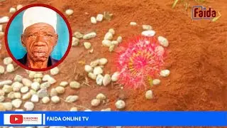 MAAJABU: UA LAOTA JUU YA KABURI SIKU MOJA BAADA YA MAZISHI MTWARA.