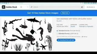 Adobe Stock What did I Sell Today 6th March 2024.