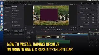 Davinci Resolve Ubuntu Installation | Best Professional Video Editing Software for Linux