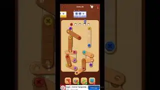 Color wood screw level 29