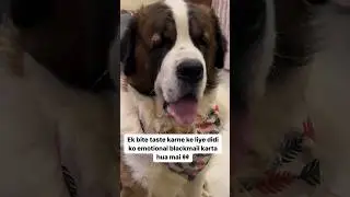 Blackmail krta hua tyzuu🐶