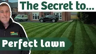 How to overseed an existing lawn for the BEST RESULTS