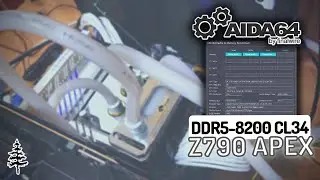 AIDA64 Extreme \\ SK Hynix A Die 8200MT/s CL34 + Z790 Apex // Watercooled RAM Benchmark