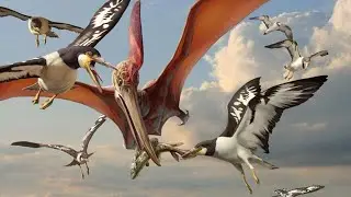 Why Birds Survived While Pterosaurs Went Extinct